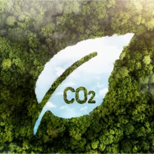 Carbon Neutral vs Net Zero: Key Differences and Their Impact