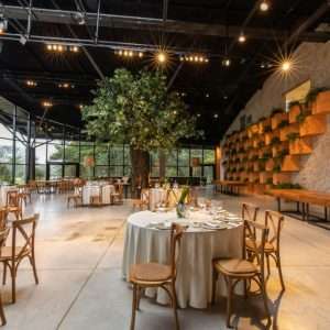 How To Reduce and Manage Energy Consumption in Restaurants